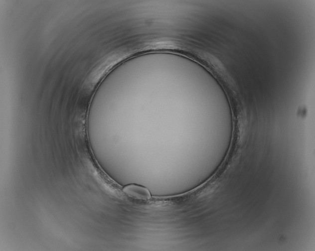 X0000110681225200907021902