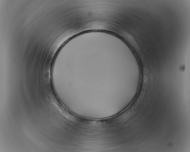 X0000110681226200907021902