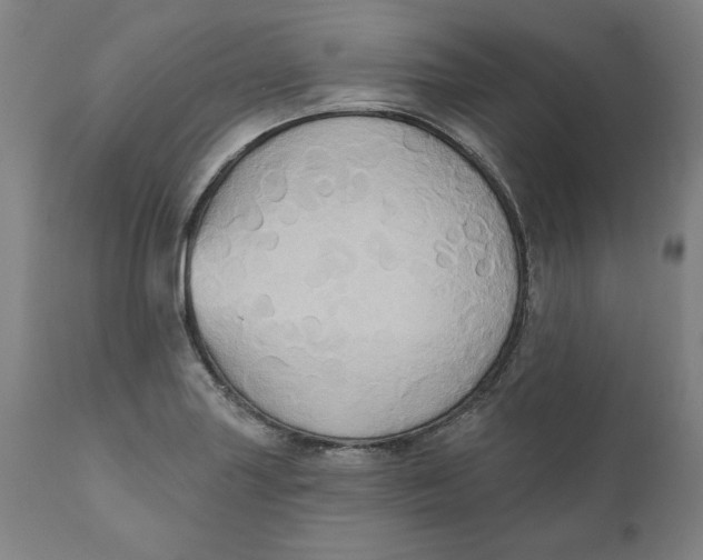 X0000110681227200907021902