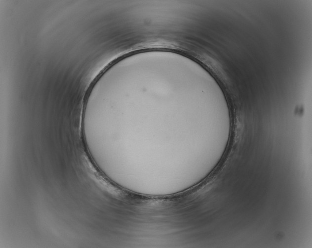 X0000110681228200907021902