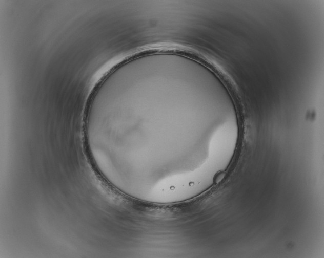 X0000110681229200907021902