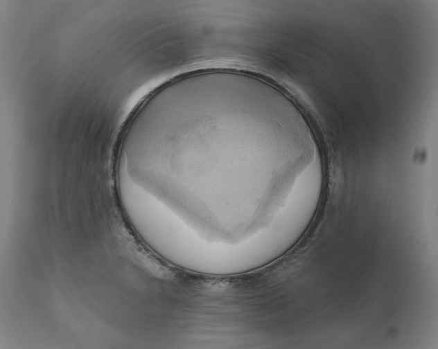 X0000110681230200907021902