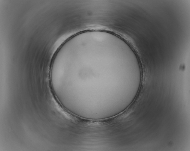 X0000110681231200907021902