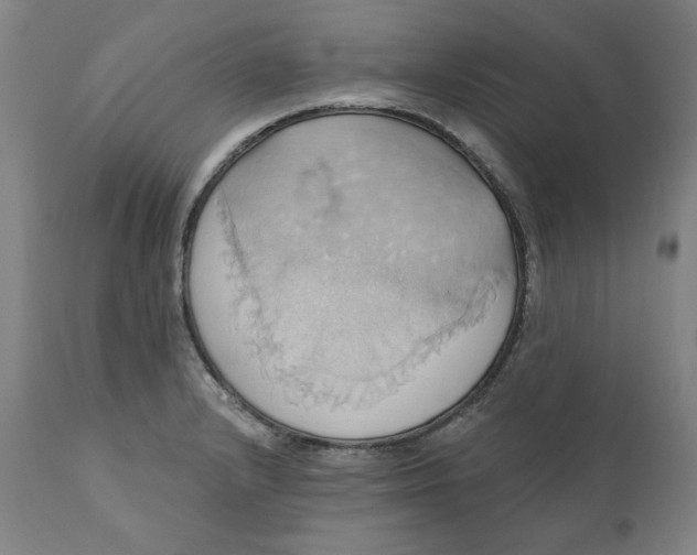 X0000110681232200907021902