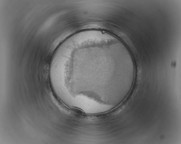 X0000110681233200907021902