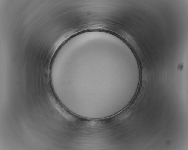 X0000110681234200907021902