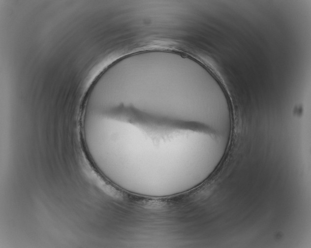 X0000110681235200907021902