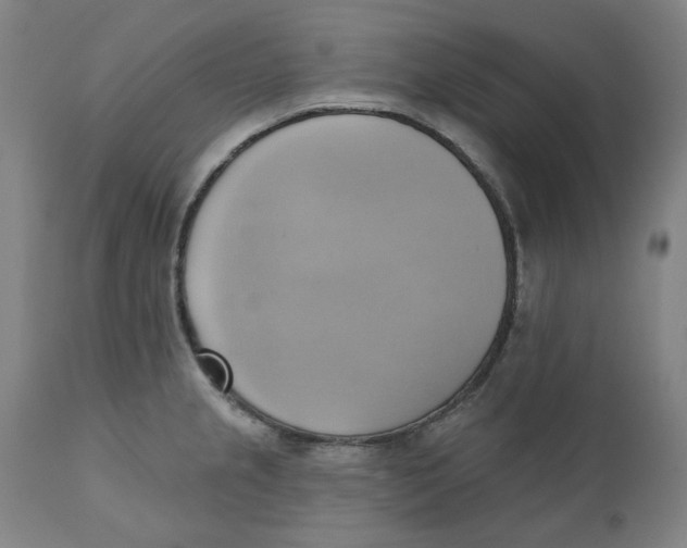 X0000110681237200907021902