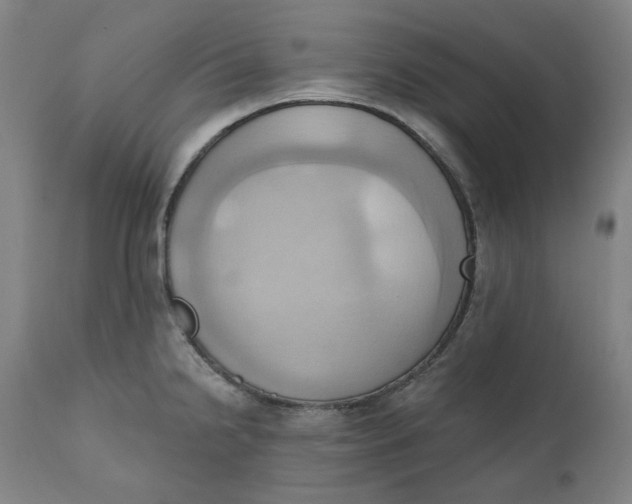 X0000110681238200907021902