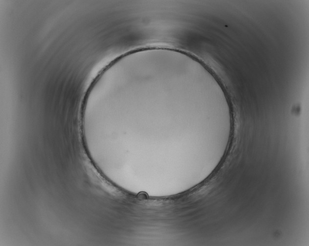 X0000110681240200907021902