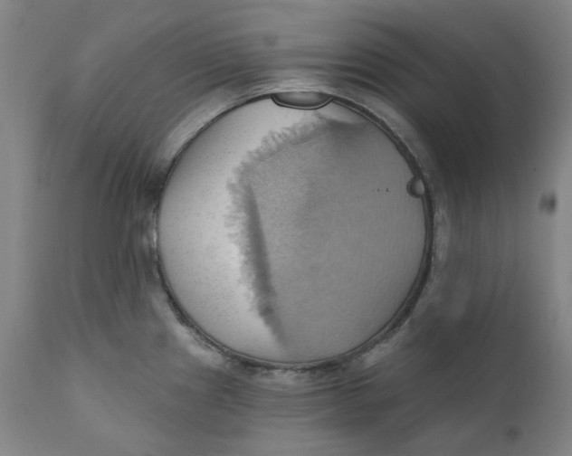 X0000110681241200907021902