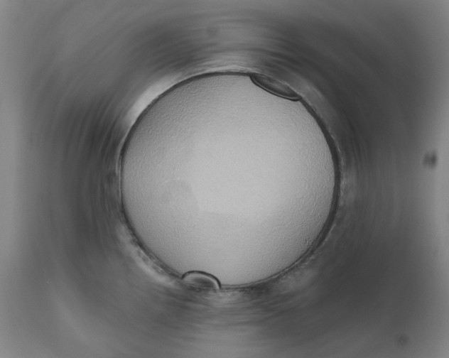 X0000110681242200907021902