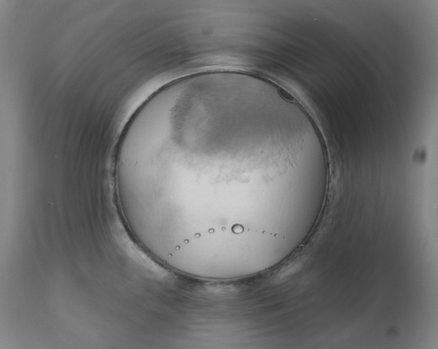 X0000110681243200907021902