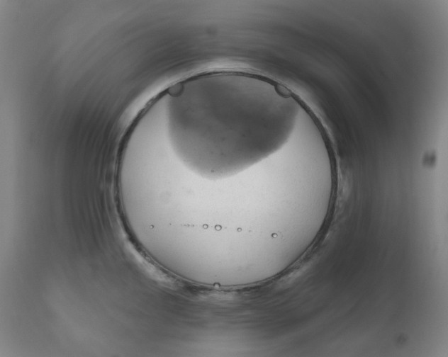 X0000110681245200907021903