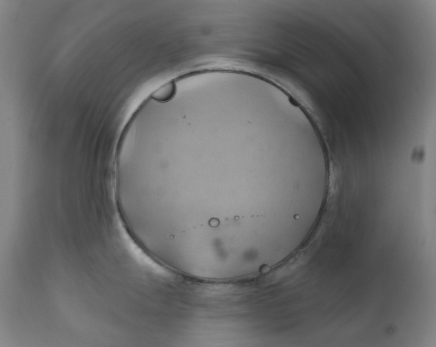 X0000110681247200907021903