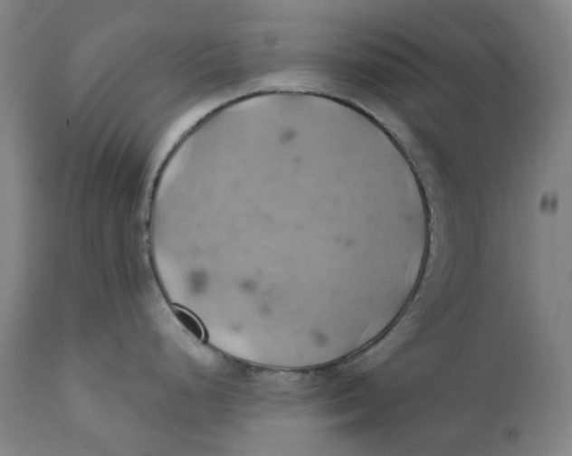 X0000110681248200907021903