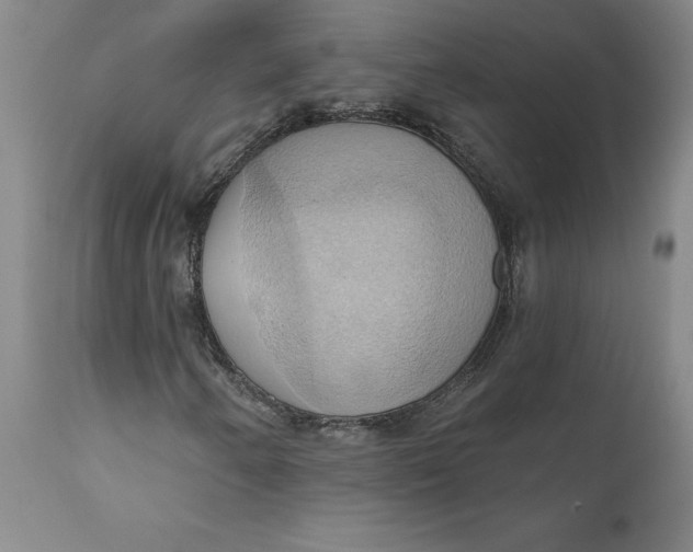 X0000110681250200907021902