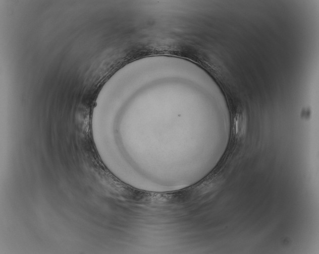 X0000110681251200907021902