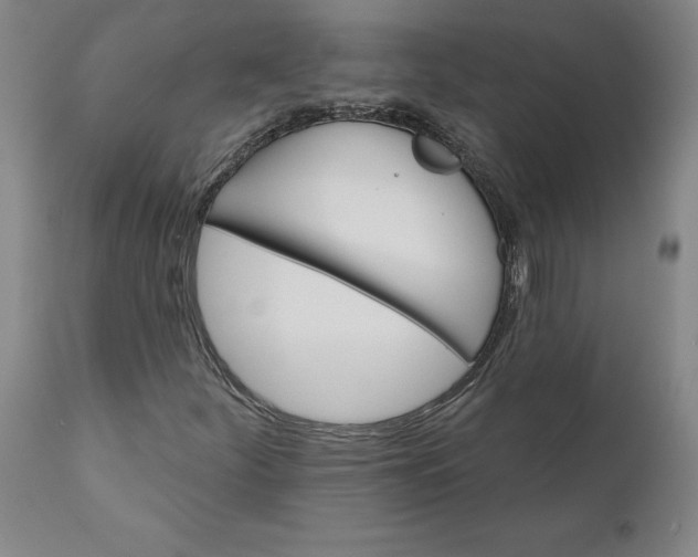 X0000110681252200907021902