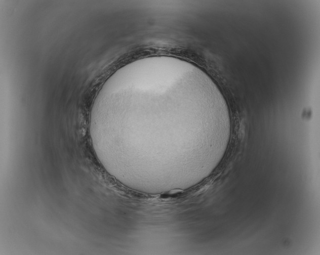 X0000110681253200907021902