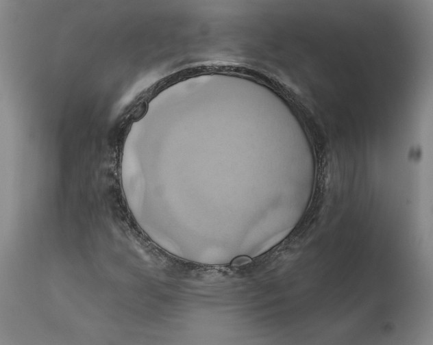 X0000110681255200907021902