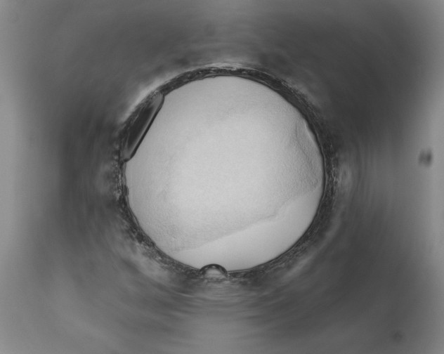 X0000110681256200907021902