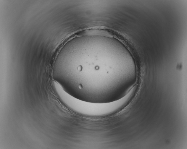 X0000110681257200907021902