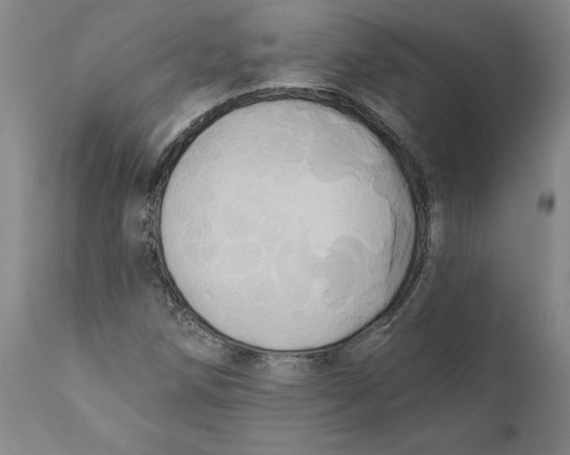 X0000110681258200907021902