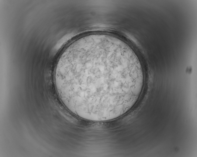 X0000110681259200907021902