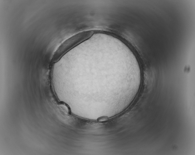 X0000110681260200907021902