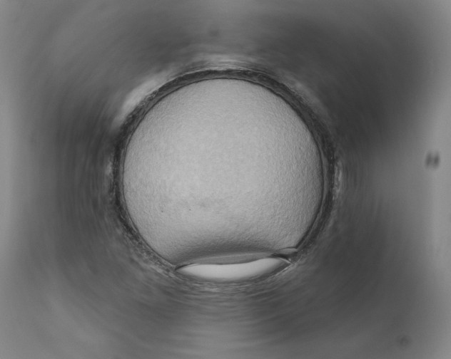 X0000110681261200907021902