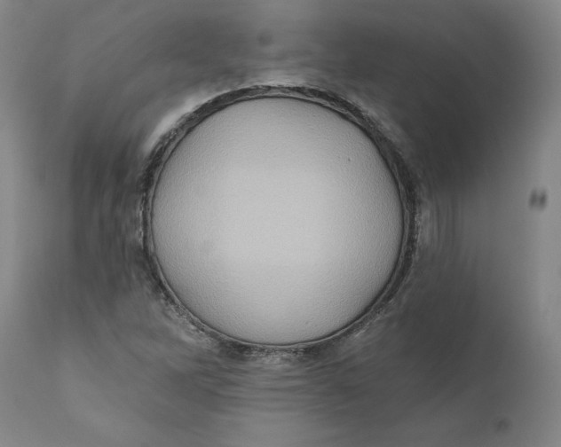 X0000110681262200907021902