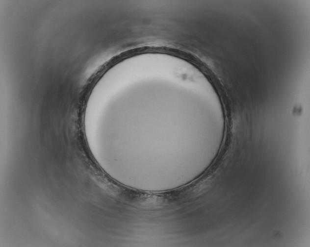 X0000110681263200907021902