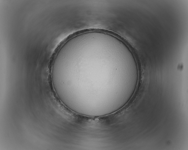 X0000110681264200907021902