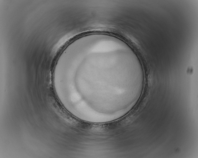 X0000110681267200907021901