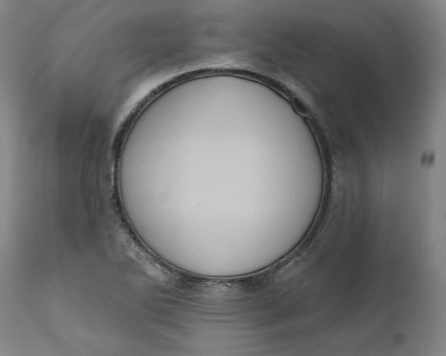 X0000110681270200907021901