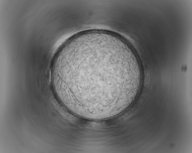 X0000110681271200907021901