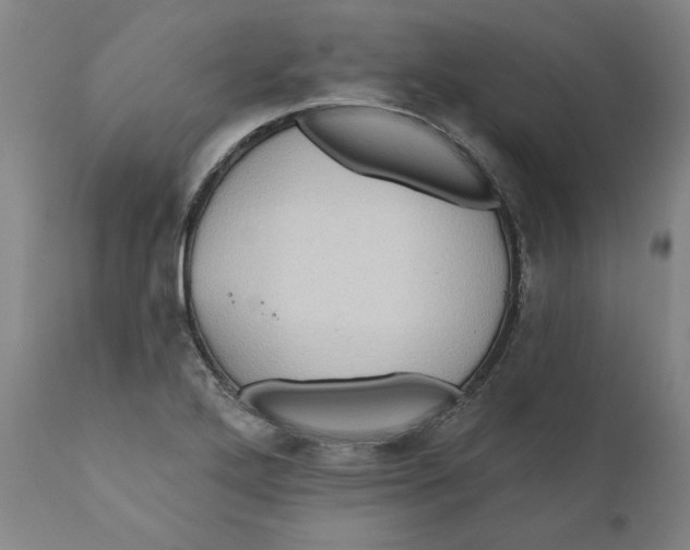 X0000110681272200907021901