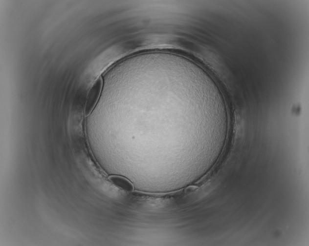 X0000110681273200907021901