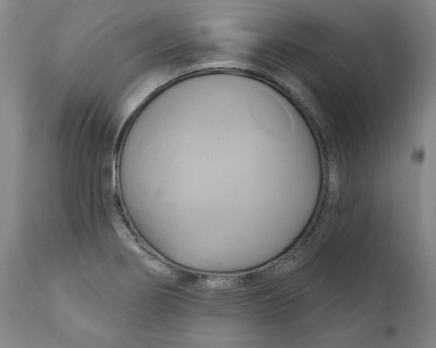 X0000110681274200907021901