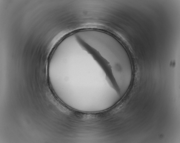 X0000110681275200907021901