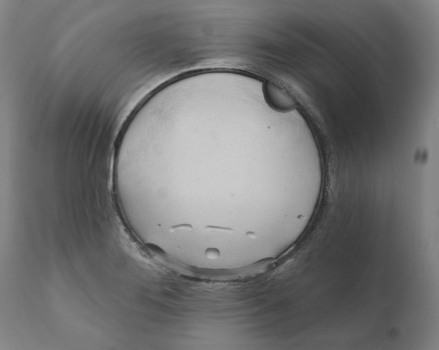 X0000110681276200907021901