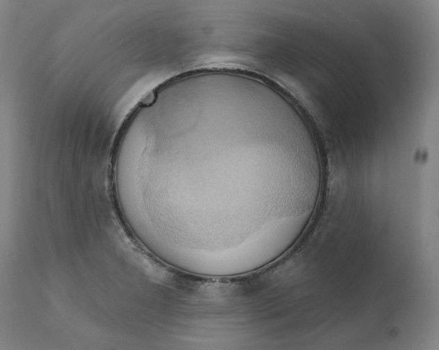 X0000110681277200907021901