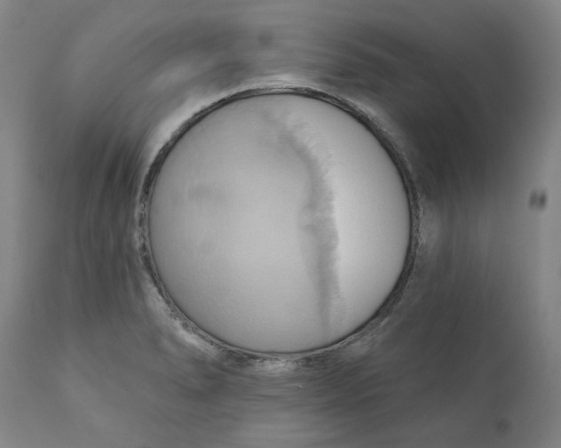 X0000110681278200907021901