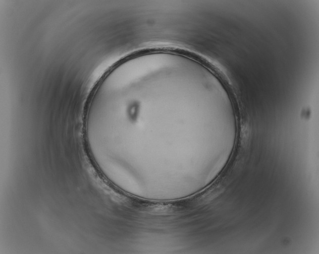 X0000110681279200907021901