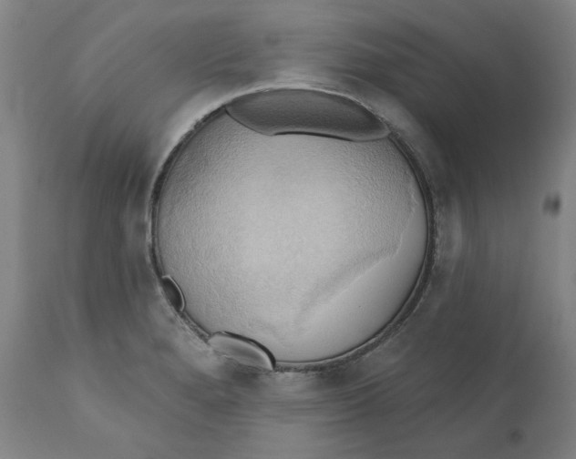 X0000110681280200907021901