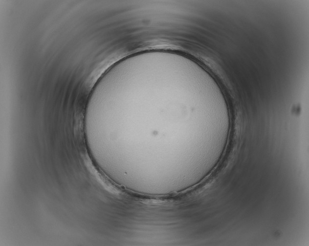 X0000110681281200907021901