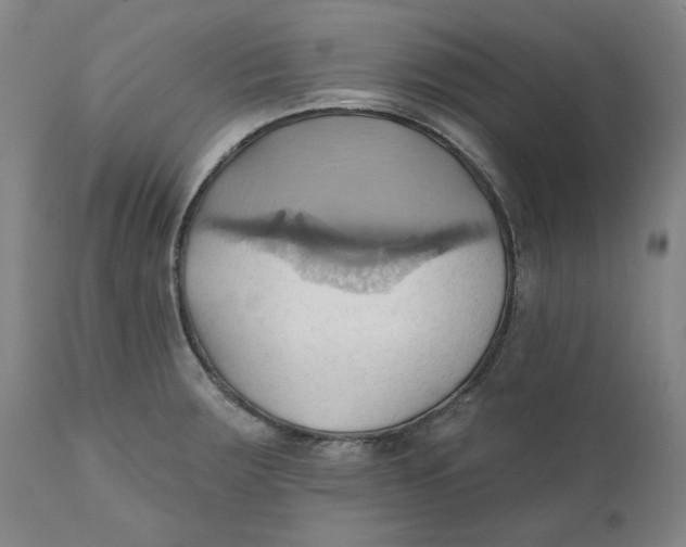 X0000110681283200907021901