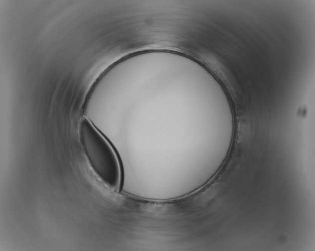 X0000110681284200907021901