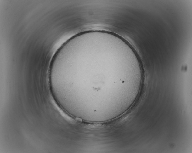 X0000110681285200907021901